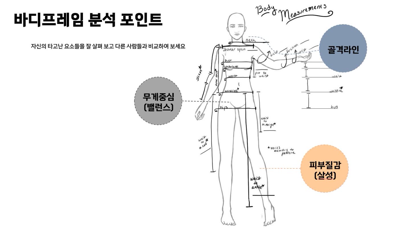 골격 연구